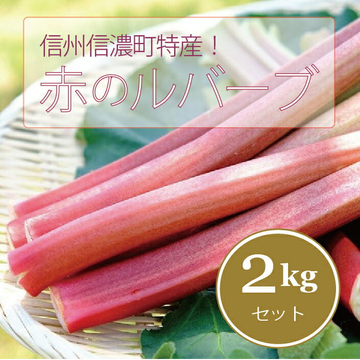 【ふるさと納税】信州信濃町特産「赤いルバーブ 2キロ」【初夏限定】 ジャムなどで鮮やかな色をお楽しみください