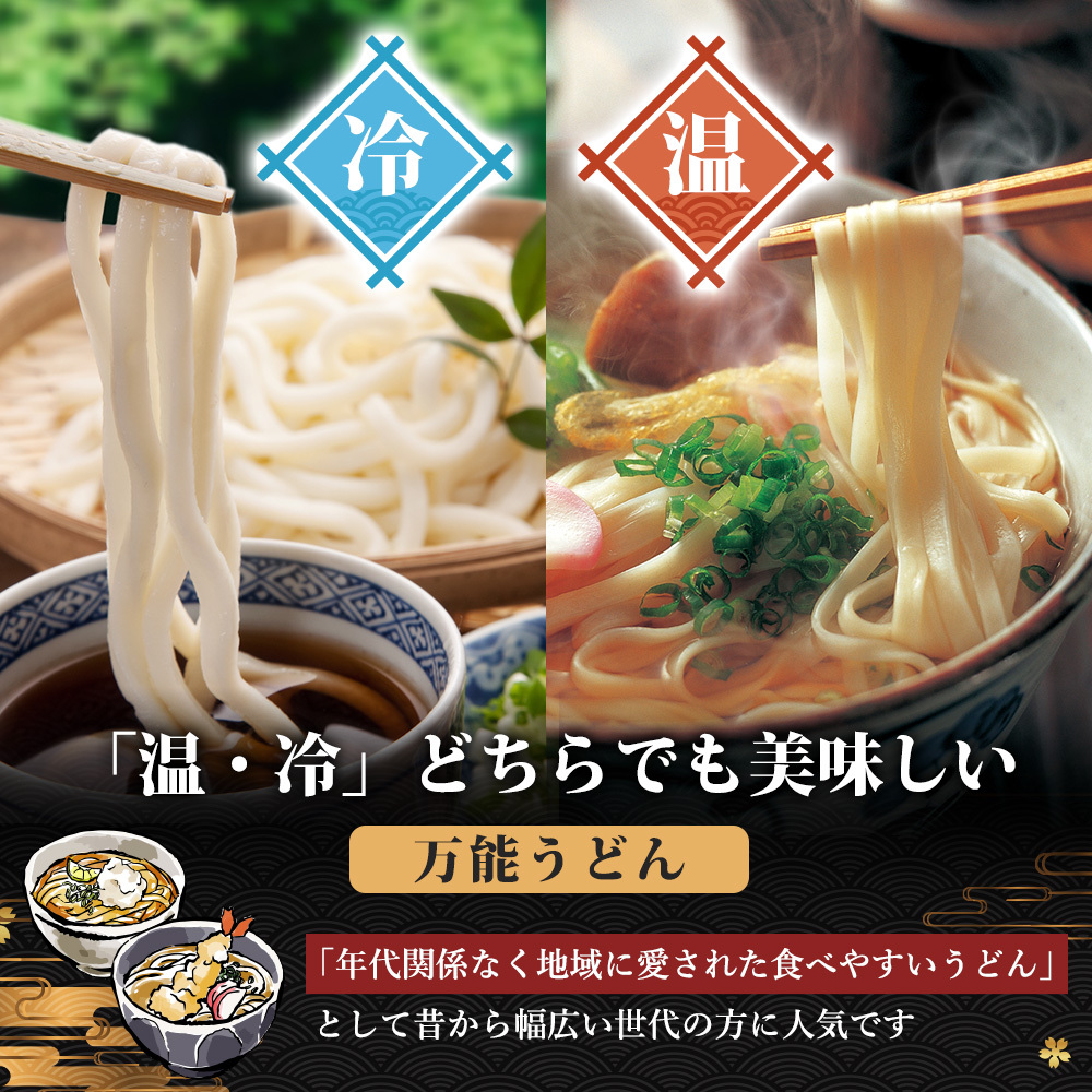 のど越しの良い象潟うどん定期便（5束×9ヵ月）