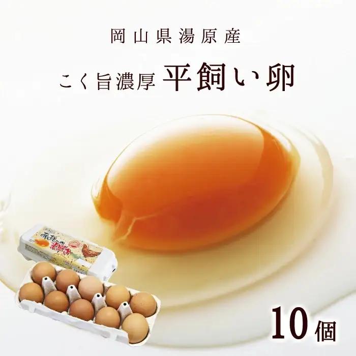 ふるさとお節介ギフト【夏】 (2026年7月上旬～8月下旬発送予定) / 先行予約 産地直送 農家 新鮮 あぐりガーデン 夏野菜 カット野菜 国産 たまご 平飼い卵 岡山県 真庭市  yasai034