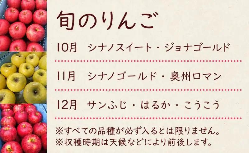 【定期便】 訳あり りんご 品種おまかせ 3kg 3ヶ月 田村ふぁーむ tamura009 りんご