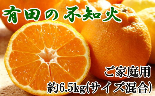 【濃厚】有田の不知火 約6.5kgご家庭用向け （サイズ混合） ※2025年2月中旬～2025年2月下旬頃に順次発送予定（日付指定不可）【tec864】