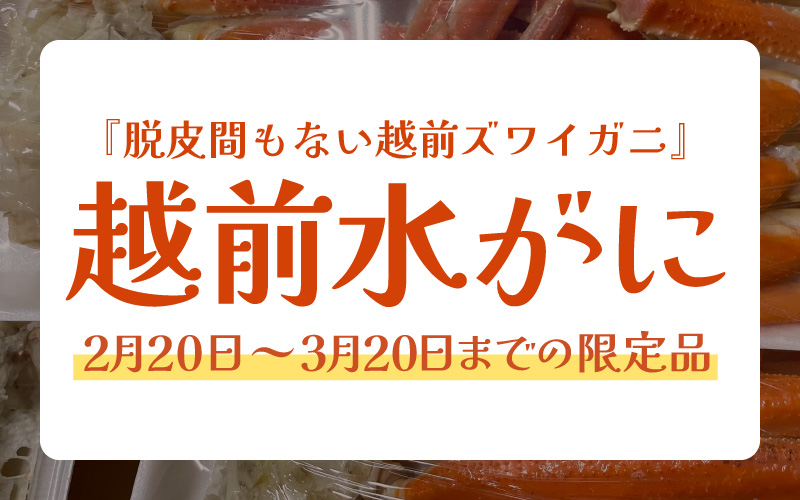 【期間限定】浜ゆで 越前産水がに中サイズ 4肩（足のみ2肩あたり300～400g） 合計600g以上 産地直送 食べやすい【雄 ズワイガニ 越前ガニ 足のみ ボイル 冷蔵 かに カニ 蟹 福井県】希望