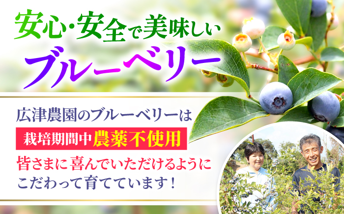 【2026年6月中旬より順次発送】【栽培期間中 農薬不使用】完熟 ブルーベリー 計2kg＜広津農園＞ [CBN009]