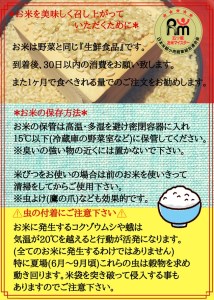CID47_【３回定期便】さがびより【玄米】１０kg（５kg×２袋） 【五つ星お米マイスター厳選！】