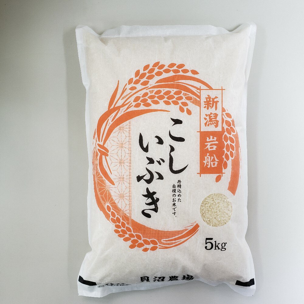 【ふるさと納税】【令和7年産米】【選べる内容量】 こしいぶき 白米 新潟県村上市岩船産 | 毎月 お米 白米 ご飯 こしいぶき 精米 村上市 4kg・5kg・6kg・10kg・12kg　1067100 1067101 1067102 1067103 1067104