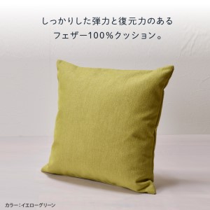 blocco フェザー100％ クッション（40cm×40cm） 460099 レッド