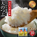 【ふるさと納税】 【 令和6年産 】 ＼ 新米 ／ 田村市産 無洗米 天のつぶ 10kg ( 5kg × 2袋 ) ギフト 贅沢 のし対応 福島 ふくしま 田村 贈答 美味しい 米 コメ ご飯 ブランド米 精米したて お米マイスター 匠 食味鑑定士 安藤米穀店