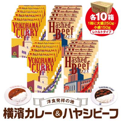 ふるさと納税 横浜市 洋食発祥の地　横濱カレー&amp;ハヤシビーフセット各10箱(1箱に大盛250g・小盛150g)