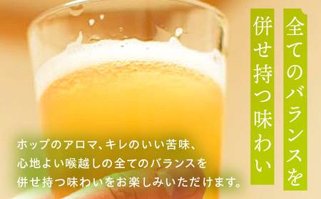 ノボル24缶セット ビール アルコール 飲料 クラフトビール