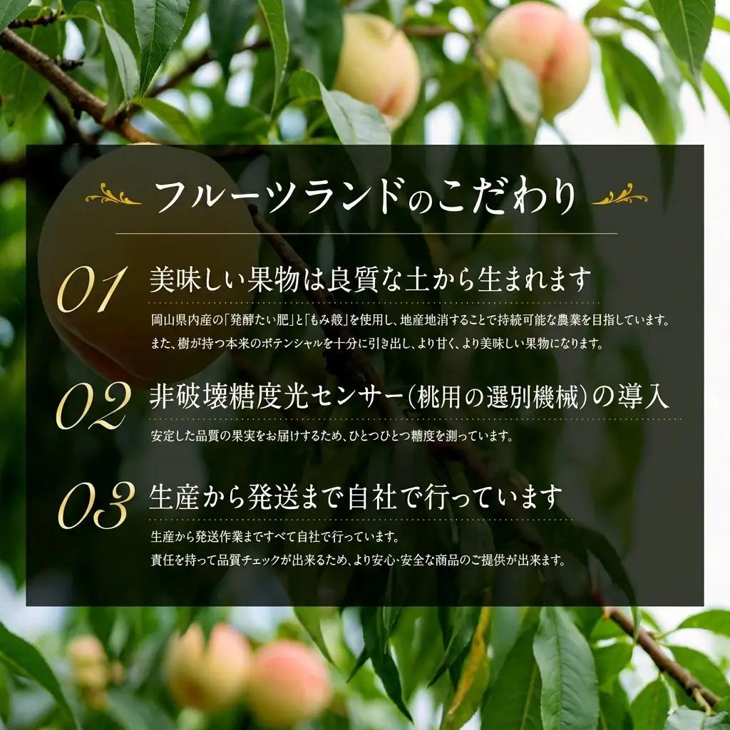 清水白桃 岡山県産 清水白桃【8玉 約2.0kg】【先行予約】