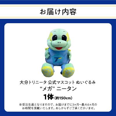 ふるさと納税 大分市 大分トリニータ公式マスコットぬいぐるみ「“メガ”ニータン」_R09005 |  | 03
