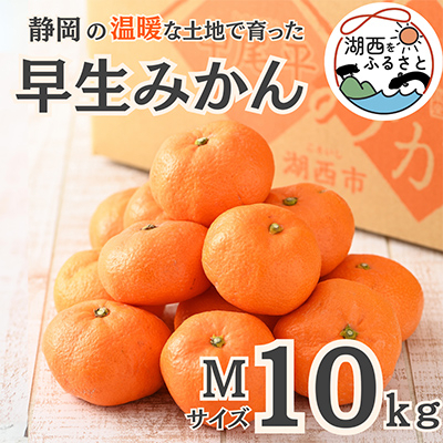 
                  ＜先行受付＞＜11月上旬より順次出荷予定＞早生みかん約10kg Mサイズ〔鈴木農園〕【1510127】
                