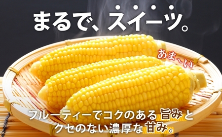 北海道 朝もぎ とうもろこし 恵味 ゴールド L-LLサイズ 10本 スイート コーン トウモロコシ とうきび 旬 完熟 野菜 採れたて 朝採り 甘い めぐみ 産地直送 道産 栗橋農園 送料無料