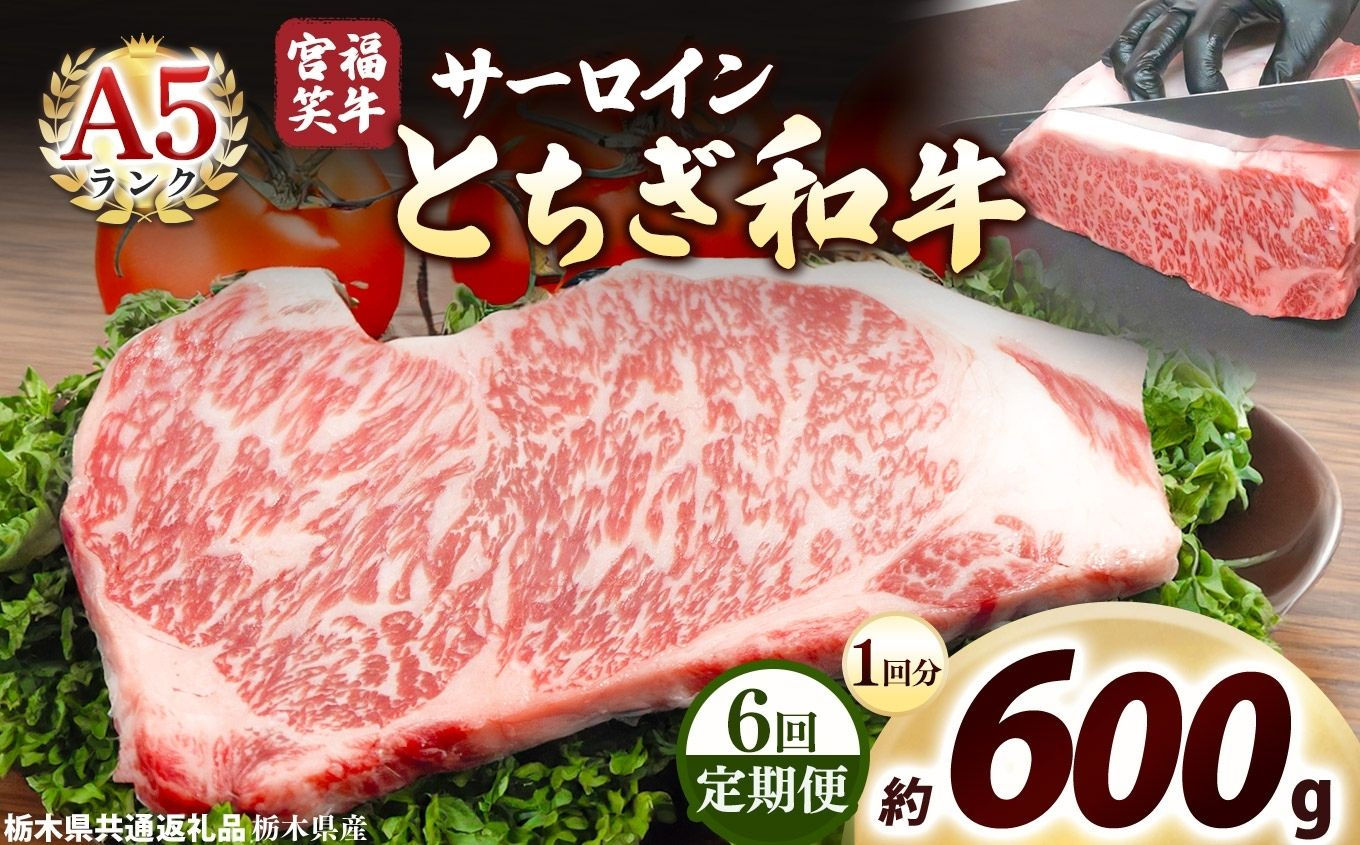 [定期便6回]宮福笑牛(とちぎ和牛) A5 サーロインステーキ 200g×3枚｜数量限定 黒毛 和牛 お肉 栃木県共通返礼品 栃木県産