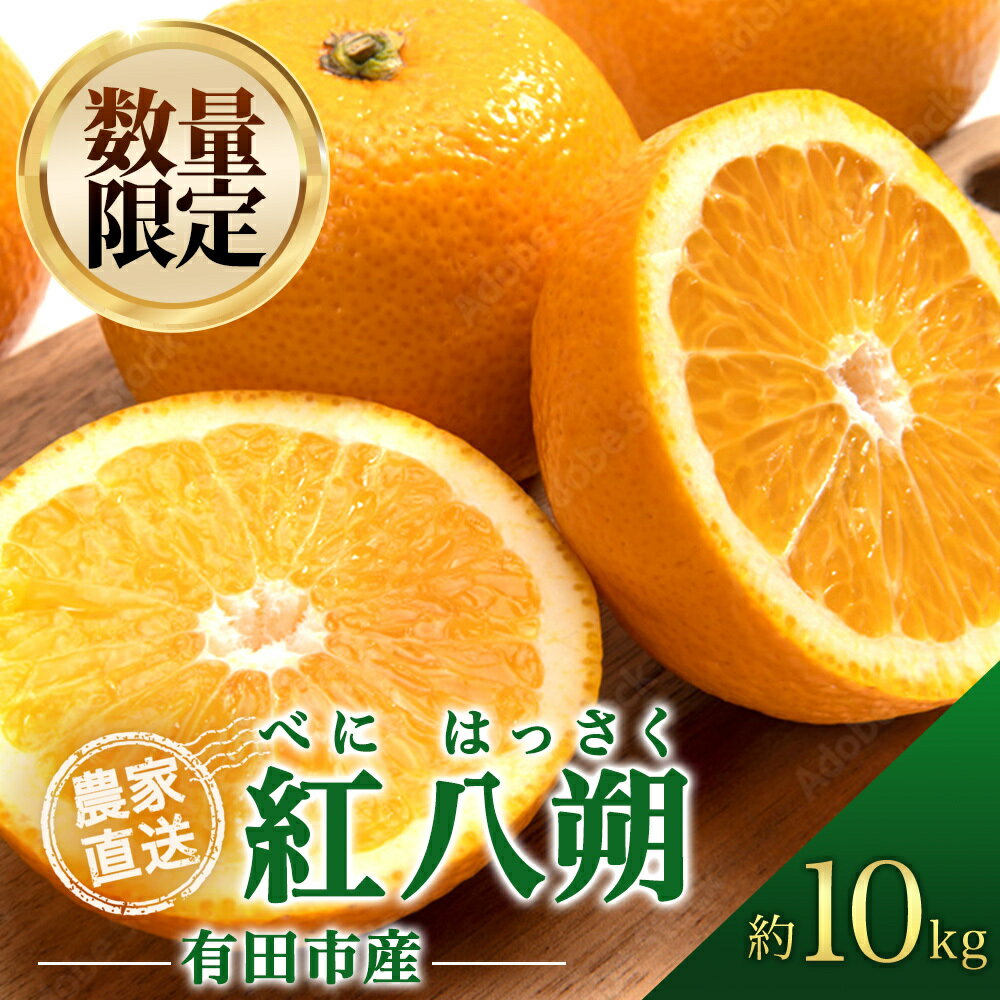 【ふるさと納税】紅八朔（べにはっさく）10kg 八朔 はっさく 柑橘 酸味 甘み バランス フルーツ 果物 くだもの みかん 人気 おすすめ 送料無料 国産 和歌山 有田市（A146-1）