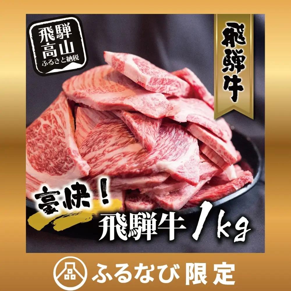 【ふるなび限定】飛騨牛 訳あり 焼肉1kg 切りおとし | 牛肉 訳あり 丸明 LR008-CP02 FN-Limited-PR