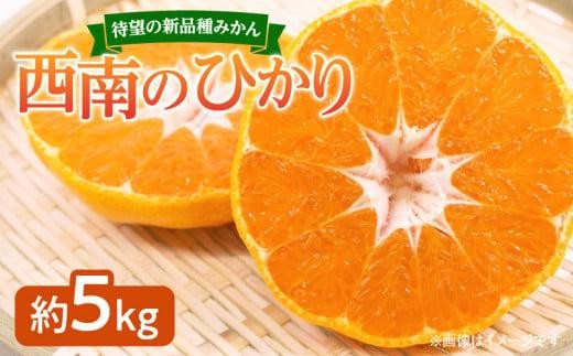 
                  待望の新品種みかん　西南のひかり　約5kg【2026年12月上旬～2027年1月上旬配送】
                