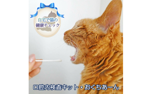 
《自宅で猫の健康チェック》 口腔内検査キット・おくちあーん
