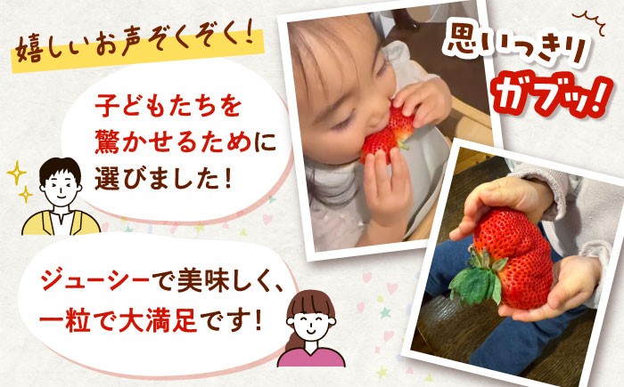 超大玉 あまおう 福岡 博多あまおう いちご 苺 イチゴ 先行受付 予約