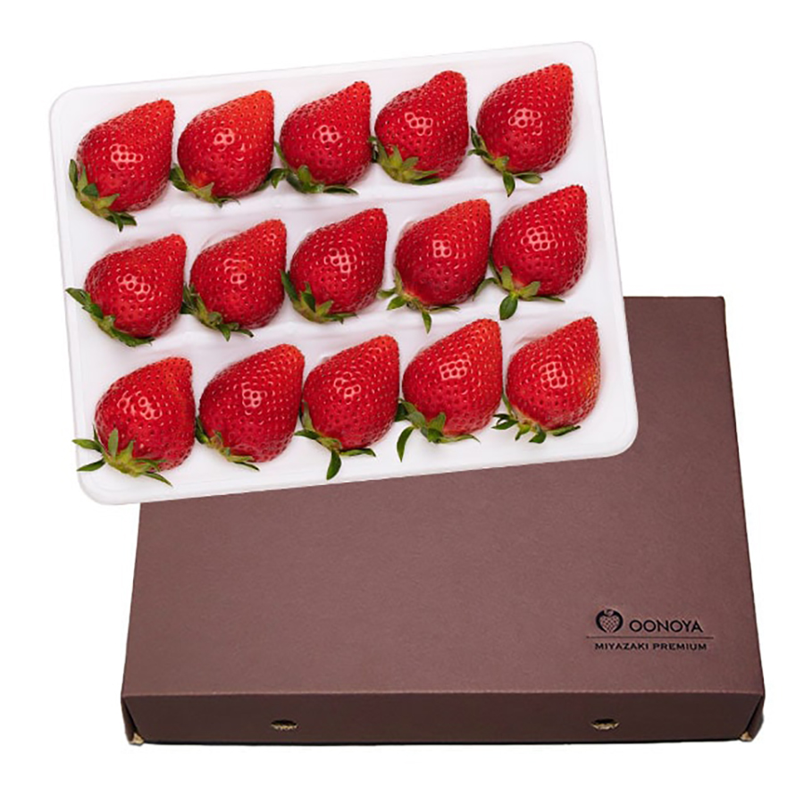 苺大野屋　やよいひめ　特別選定大粒いちご　シングル450g