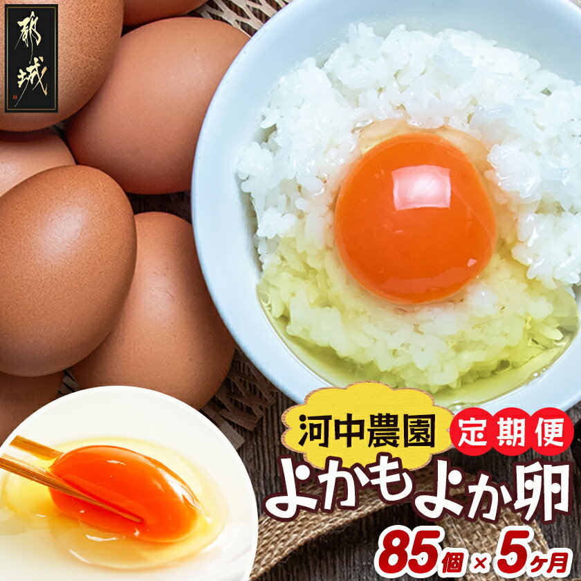 【ふるさと納税】よかもよか卵85個の定期便(5ヶ月) - 鶏卵 赤卵 よかもよか卵 Mサイズ 85個 約5kg たまご タマゴ 5回定期便 5ヶ月間連続 きみ恋卵の進化系 破損補償5個 味が濃い まろやか けいらん 送料無料 T85-5-29-010-85 【宮崎県都城市は2年連続ふるさと納税日本一！】