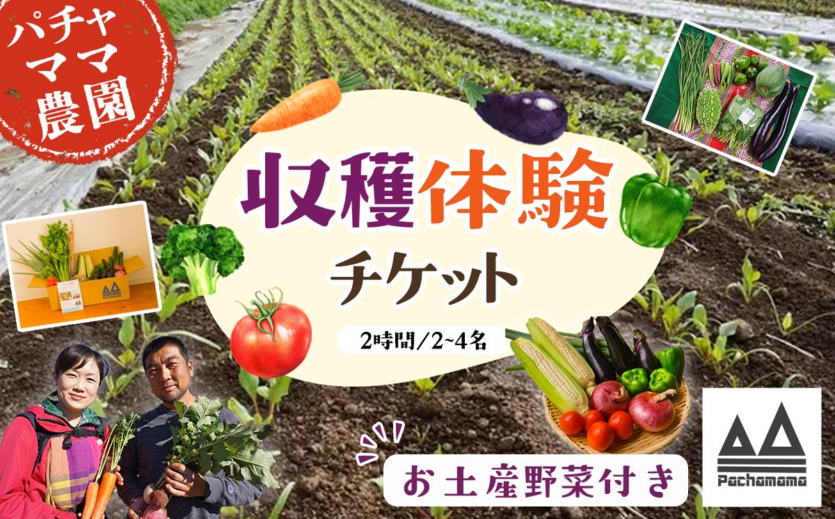 
                  収穫体験チケット（2時間／2名～4名）+お土産野菜付き（野菜持ち帰り）【 農業体験 収穫体験 食育 体験 野菜 農作業 家族 親子 畑 お土産 】 
                