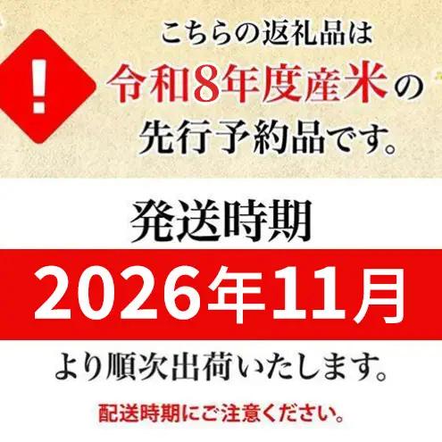 北海道 定期便 3ヵ月連続3回 令和8年産 ななつぼし 5kg×2袋