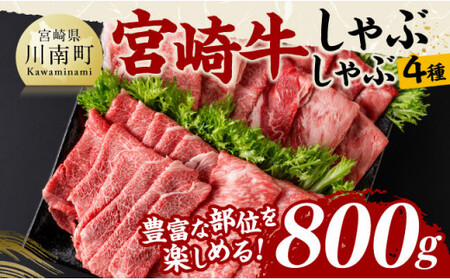 宮崎牛しゃぶしゃぶ食べ比べ4種盛 合計800ｇ【 肉 牛肉 国産 黒毛和牛 宮崎牛 すき焼き しゃぶしゃぶ 焼きしゃぶ 食べ比べ 宮崎県 川南町 】