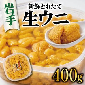 生うに 400g 無添加 冷蔵 ミョウバン不使用 ミョウバン不使用 期間限定 うに ウニ 雲丹 寿司 Sea urchin 新鮮 直送 産地直送 生食 生 ごはん 夕飯 おかず おつまみ 晩酌 米 丼 海産物 海鮮 魚介 魚介類 大船渡 三陸 岩手県 国産