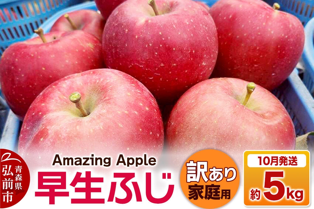 
                  【26年10月発送】りんご 早生ふじ【訳あり】家庭用 約5kg 先行受付 [先行予約 青森産 りんご 早生ふじ アップル 林檎 リンゴ 果物 果実 美味 青森県 弘前市]
                