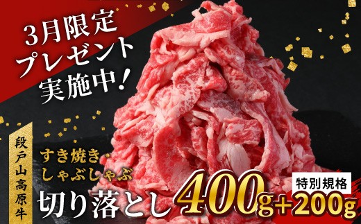 ★3月受付限定！の特別規格★【2026年4月発送！】国産ブランド牛 切り落とし 600g (200g×3） 小分け 段戸山高原牛 幻 牛 国産 牛肉 牛 スライス 地域 限定 小分け 大満足 赤身 肉 数量限定 肉 牛肉切り落とし 牛切り落とし 国産牛 ブランド牛 5000円 -070