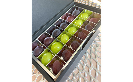 No.301 【先行予約】粒々ぶどう18粒　シャインマスカットとぶどう2品種【茨城県共通返礼品 かすみがうら市】