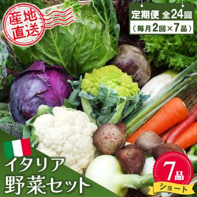 ふるさと納税 神埼市 年間定期便24回 イタリア野菜セットショート 7品 (H078147)