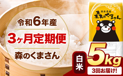 【3ヶ月定期便】令和6年産 白米  森のくまさん 5kg 5kg×1袋  《お申込み月の翌月から出荷開始》 熊本県産 白米 精米 米 こめ コメ お米 kome