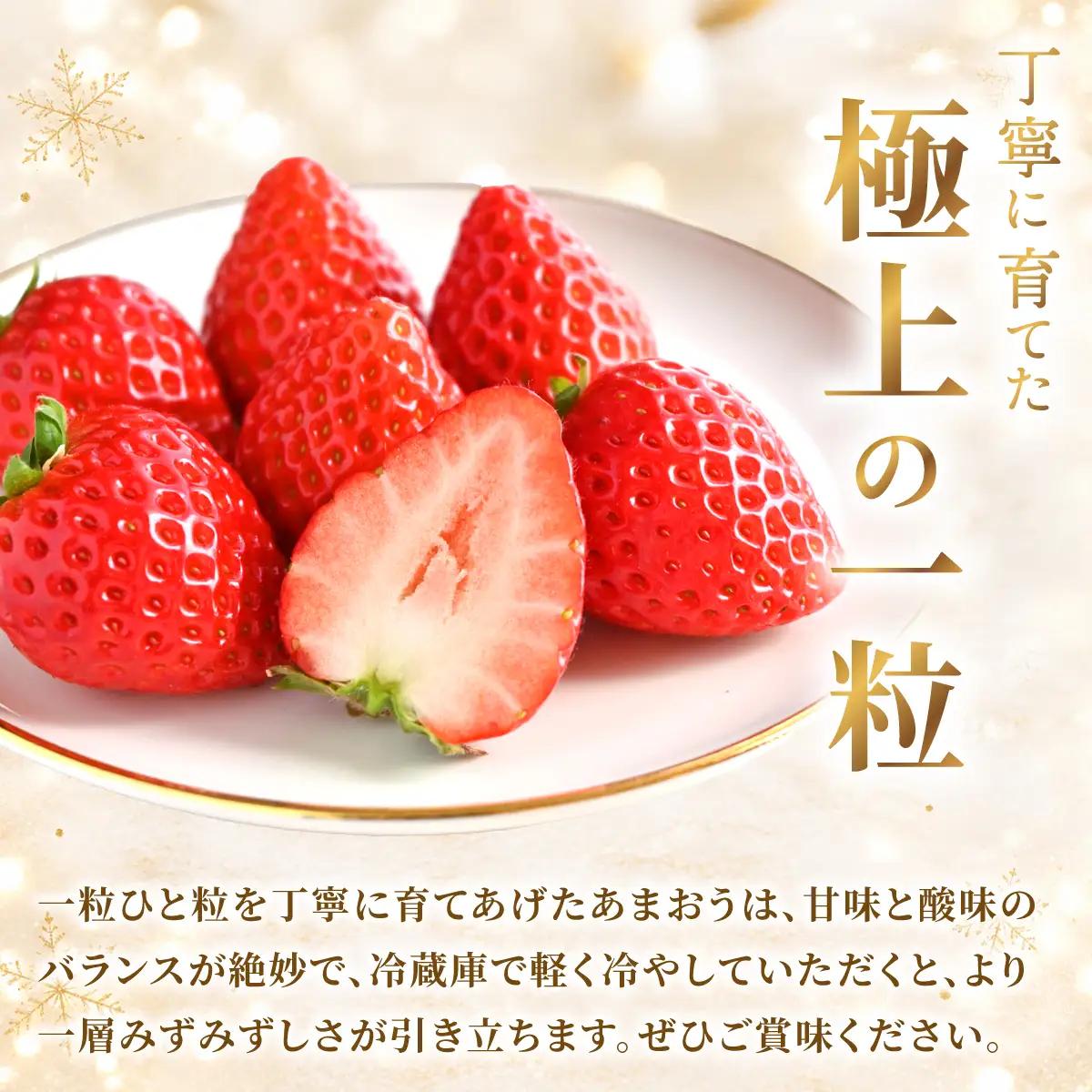 福岡県産あまおう4パック（約250g×4パック）