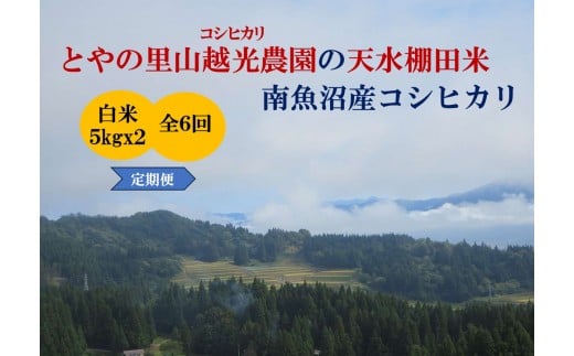 
            【令和7年産新米予約】【定期便】とやの里山越光農園「天水棚田米」南魚沼塩沢産コシヒカリ　精米10kg(5kgx2)x全6回【2025年12月下旬より順次発送予定】
          