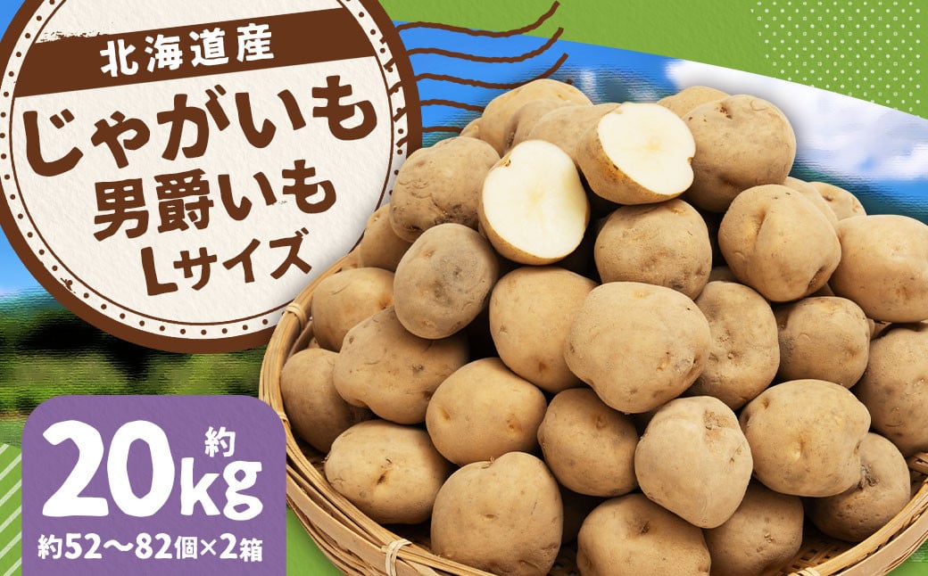 
            じゃがいも 男爵 Lサイズ 約10kg×2箱 計約20kg （JA） ジャガイモ 芋 いも イモ 国産 【2025年9月下旬-2026年2月下旬迄発送予定】
          