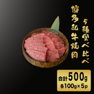 
博多和牛焼肉5種食べ比べセット《合計500g》【1413625】
