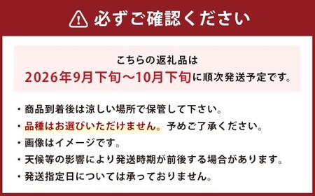 【10月発送分】 梨 4.5kg 豊水 20世紀 新高 新興 果物