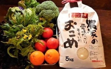 【シェフの目線】栽培期間中農薬不使用！旬のお野菜セット×クリーン白米【ふるさと納税限定】　愛媛県大洲市/有限会社ヒロファミリーフーズ [AGBX009]野菜お米定期便野菜お米定期便野菜お米定期便野菜お米定期便野菜お米定期便野菜お米定期便野菜お米定期便野菜お米定期便野菜お米定期便野菜お米定期便野菜お米定期便野菜お米定期便野菜お米定期便野菜お米定期便野菜お米定期便野菜お米定期便野菜お米定期便野菜お米定期便野菜お米定期便野菜お米定期便野菜お米定期便野菜お米定期便野菜お米定期便野菜お米定期便野菜お米定期便野菜お米定