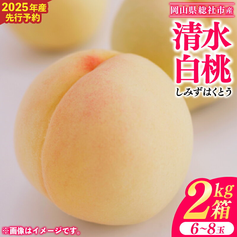 【ふるさと納税】白桃 清水白桃 2kg箱 岡山県 総社市産 2025年産先行予約 6～8玉 7月～8月配送 25-026-003