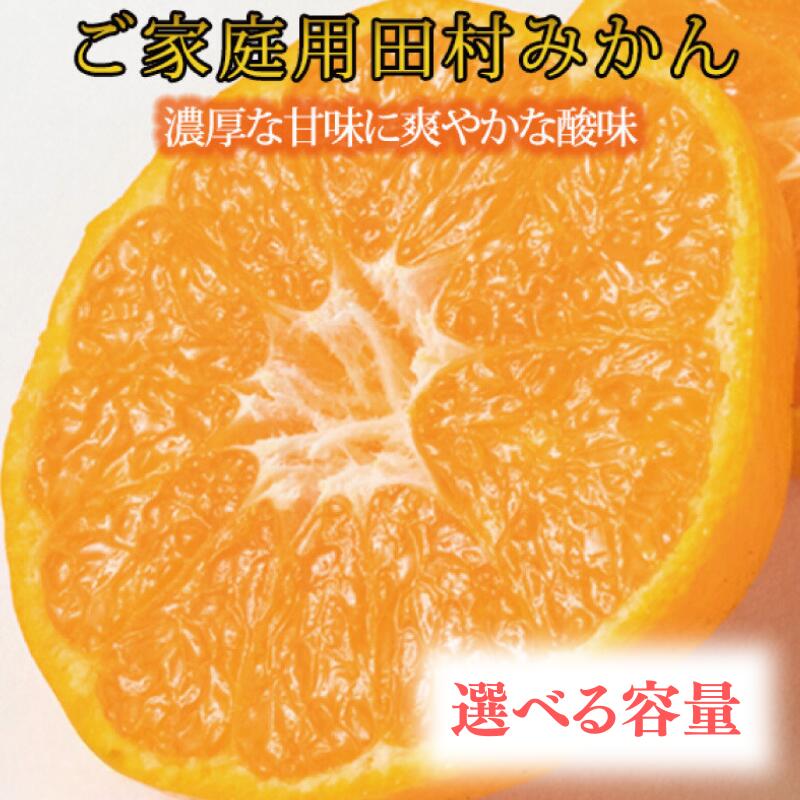 【ふるさと納税】 【ご家庭用訳あり】田村みかん 【選べる容量】 約5kg 約10kg ※2025年11月下旬頃〜2026年1月下旬頃に順次発送（お届け日指定不可）/ みかん 有田みかん ブランドみかん 温州みかん 産地直送 柑橘 果物 フルーツ 10000円 20000円 新鮮 旬 先行 訳あり 家庭用