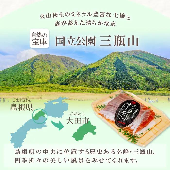 【訳あり】さんべサーモン切り落し 300g【サーモン 300g 切り落し サーモントラウト ニジマス サーモン さけ シャケ しゃけ sake 生食用 刺身 お刺身 刺し身 魚介類 海鮮 冷凍】
