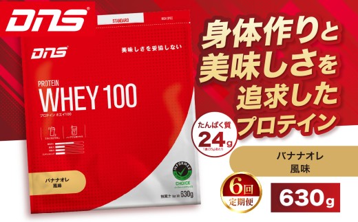 【定期便6回】DNS プロテインホエイ 100 バナナオレ 風味 630g  | プロテイン ホエイプロテイン バナナ オレ 人気 高たんぱく ダイエット 置き換え 栃木県 送料無料