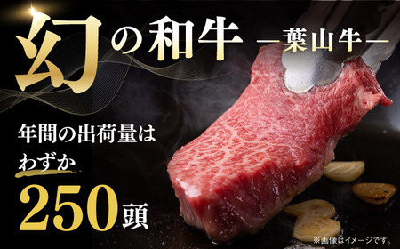 【全12回定期便】【葉山牛】300g　ローススライス ／ 牛肉 黒毛和牛 神奈川県 特産品【葉山牛ステーキレストラン 角車】[ASBD040]