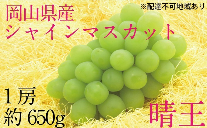 ぶどう 2026年 先行予約 9月・10月発送 シャイン マスカット 晴王 1房 約650g ブドウ 葡萄  岡山県産 国産 フルーツ 果物 ギフト デザート 食後 酸味が少ない 産地直送