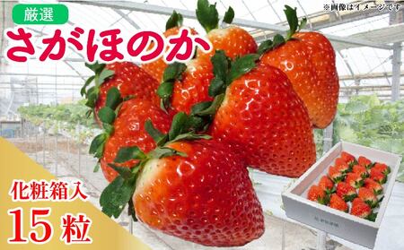 先行予約 3月発送 いちご 15個 化粧箱入り 約450g いちご いちご いちご いちご