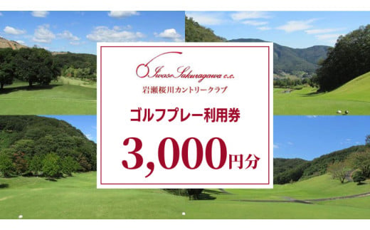 
岩瀬桜川カントリークラブ ゴルフプレー利用券 3,000円分 茨城県 桜川市 桜川 ゴルフ ゴルフ場 プレー 利用券 チケット 補助券 プレー券 [CW001sa]
