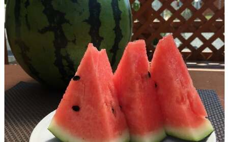 大玉スイカ 1玉（6kg以上） スイカ すいか 西瓜 大玉 果実 国産 熊本県産【2026年4月下旬～6月上旬迄順次発送予定】