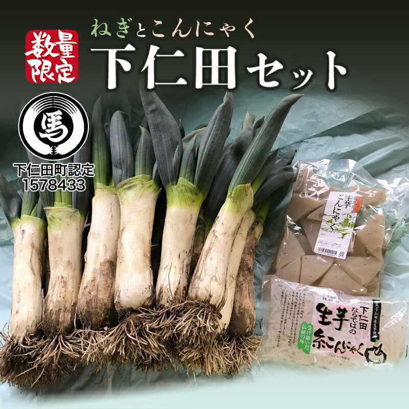 【ふるさと納税】ねぎとこんにゃく下仁田セット とろける 甘い ねぎ ネギ 王様ねぎ 特産 栄養たっぷり ブランド 上州ねぎ すきやき F21K-032